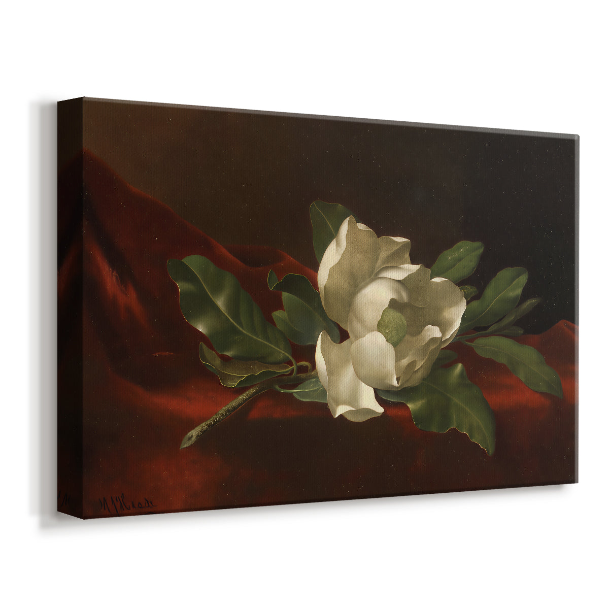 Canvas art print featuring a floral still life with single flower and soft lighting, displayed at an angle