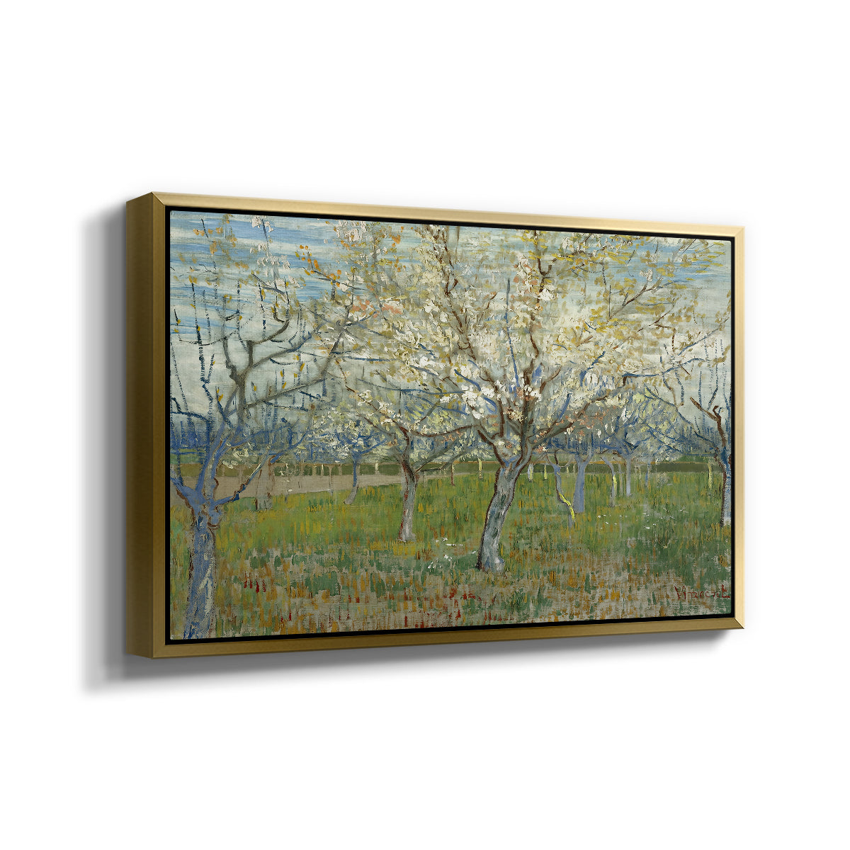The Pink Orchard, 1888 - Floater Framed Canvas Print