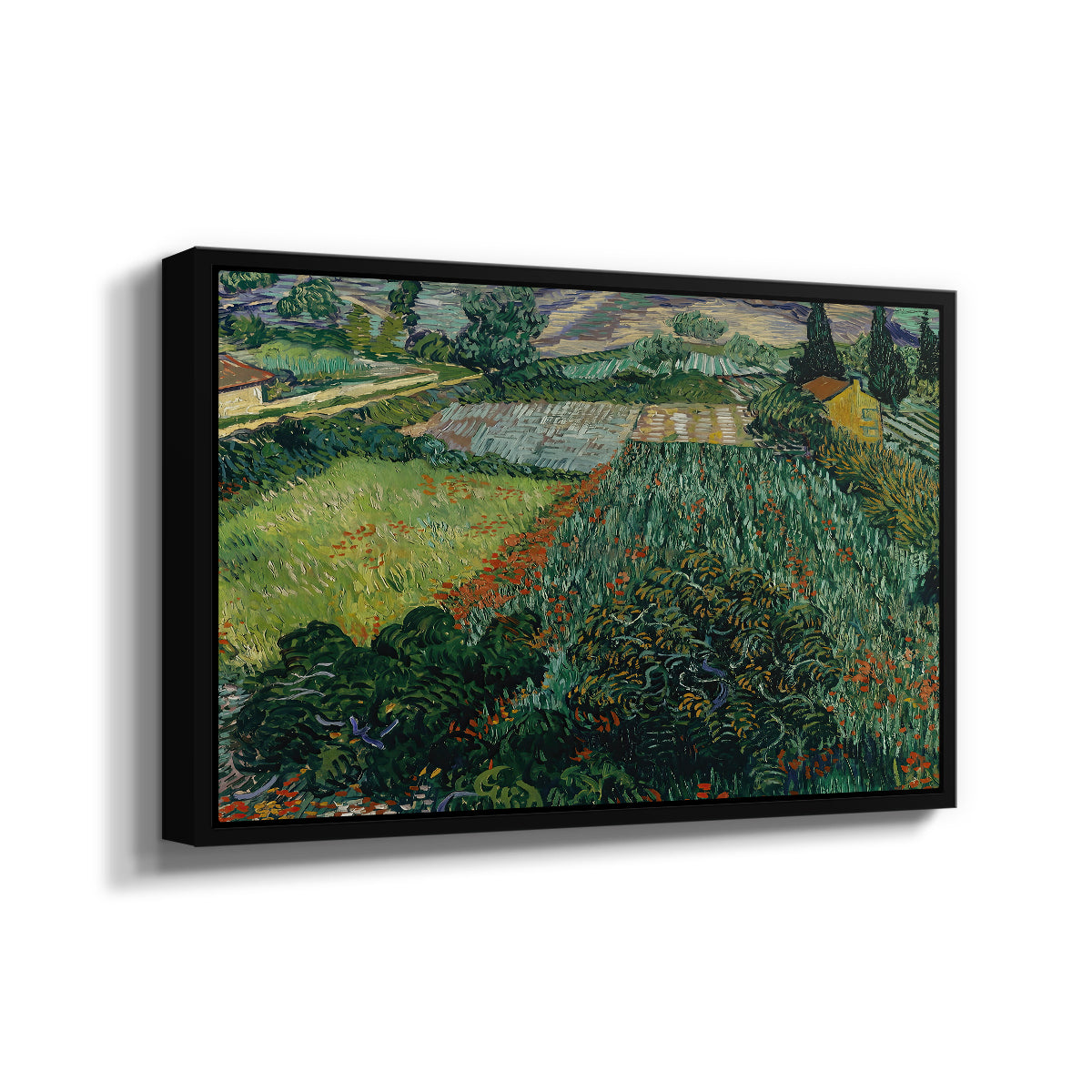 Field with Poppies, Saint-Rémy, 1889 - Floater Framed Canvas Print