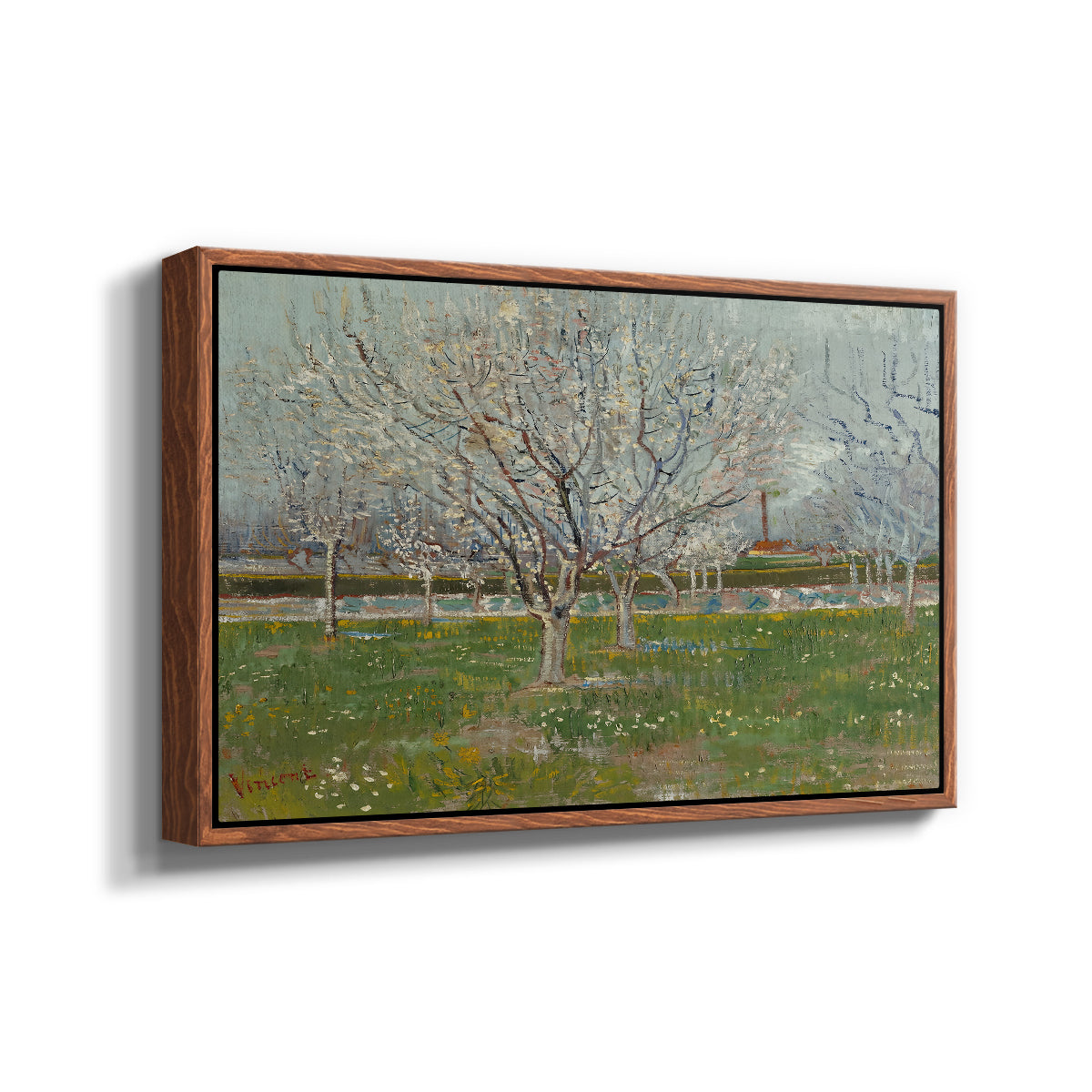 Orchard in Blossom (Plum Trees), 1888 - Floater Framed Canvas Print