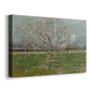 Canvas art print featuring a spring scene with repeating rows of flowering trees, displayed at an angle