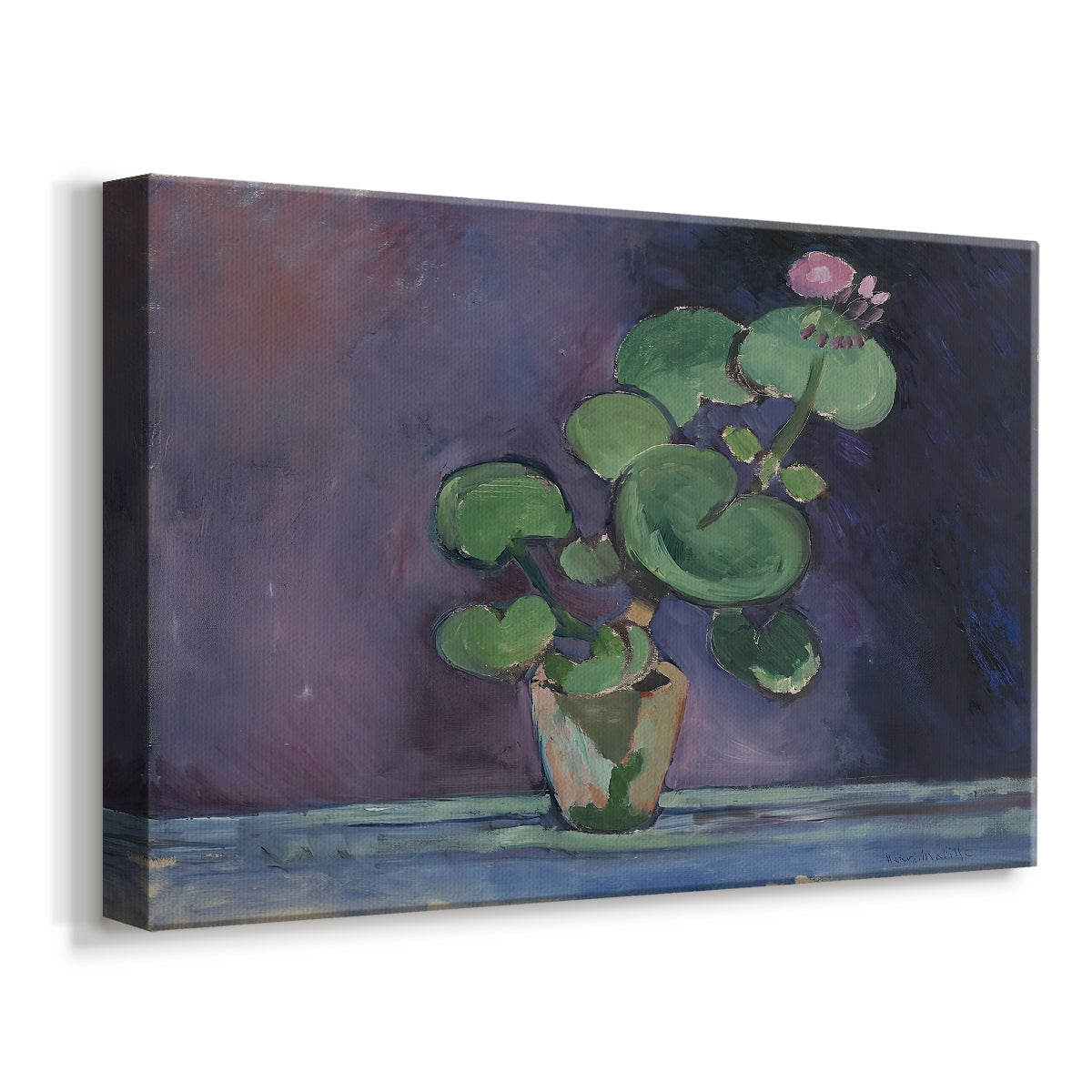 Canvas art print featuring a floral still life of a geranium plant in a pot, displayed at an angle