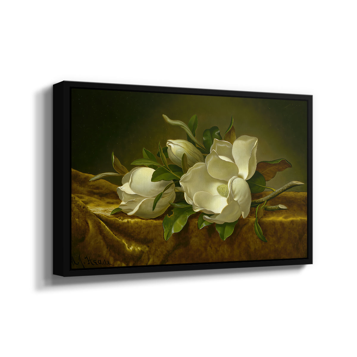 Magnolias on Gold Velvet Cloth, c. 1888-1890 - Floater Framed Canvas Print