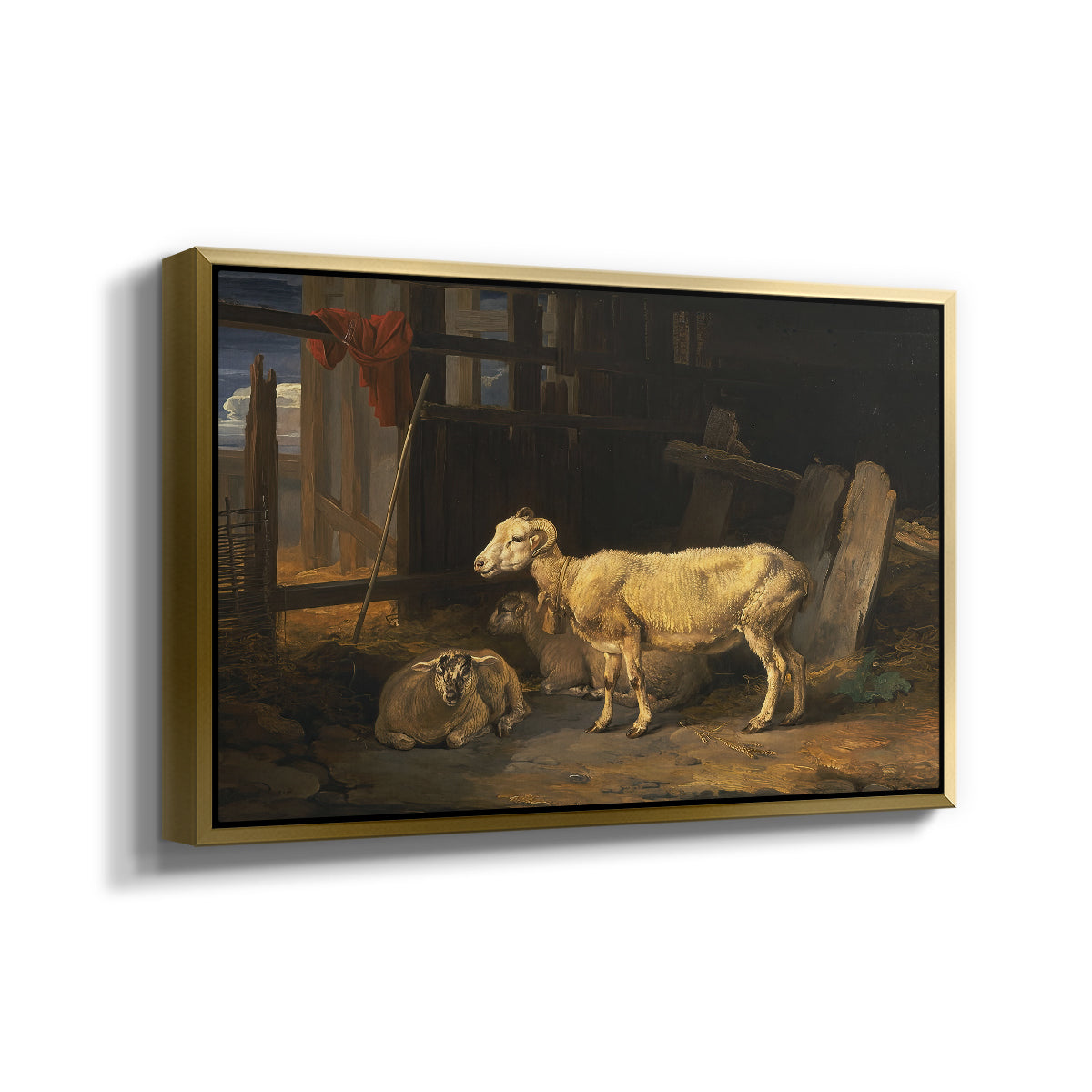 Sheep in a Stable, 1810 - Floater Framed Canvas Print