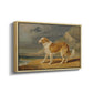 Rough-Coated Collie, 1809 - Floater Framed Canvas Print