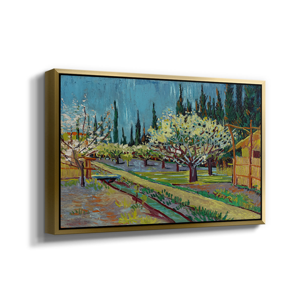 Orchard in Blossom, Bordered by Cypresses, 1888 - Floater Framed Canvas Print