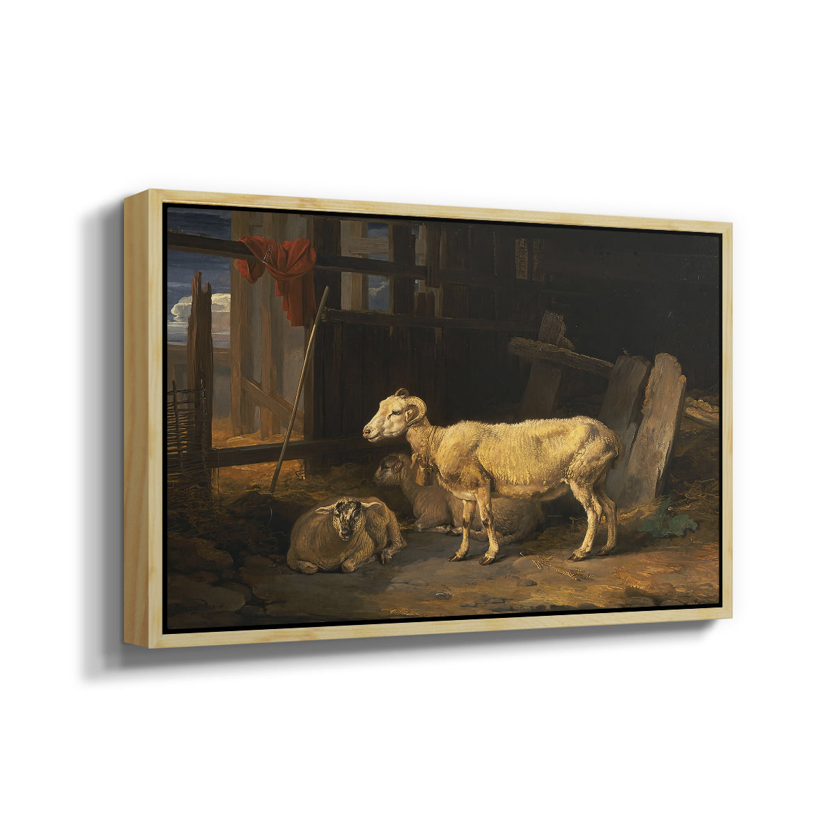 Sheep in a Stable, 1810 - Floater Framed Canvas Print