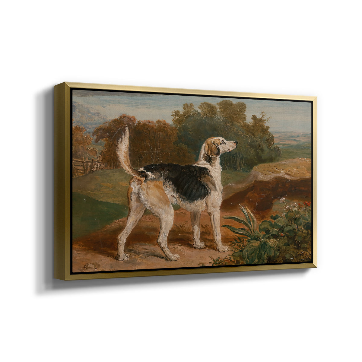 Ravager, One of the Lambton Hounds, 1835 - Floater Framed Canvas Print