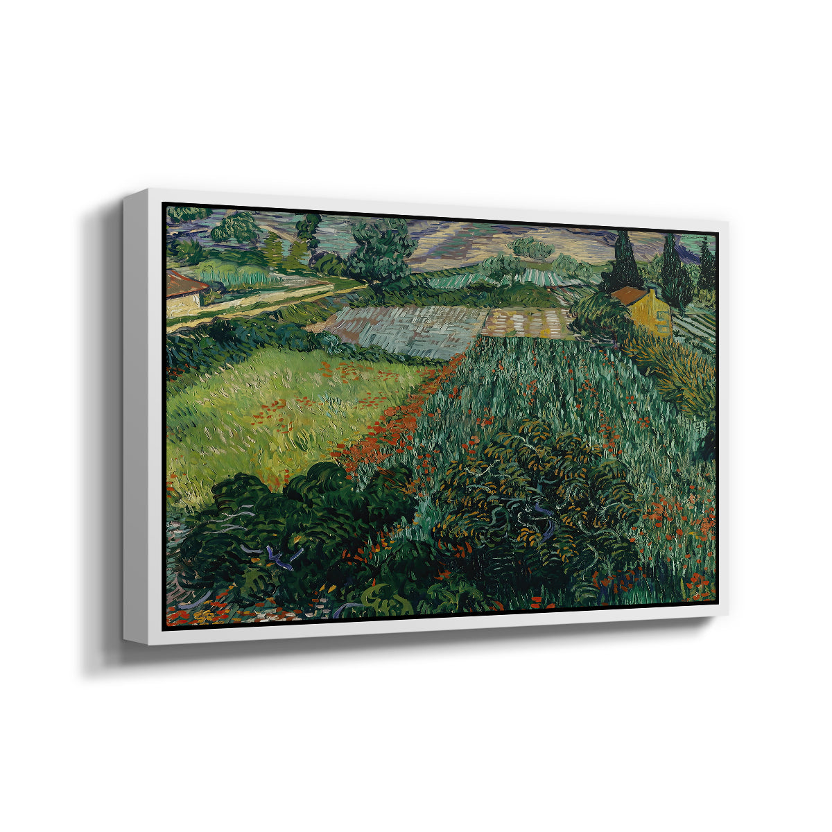 Field with Poppies, Saint-Rémy, 1889 - Floater Framed Canvas Print