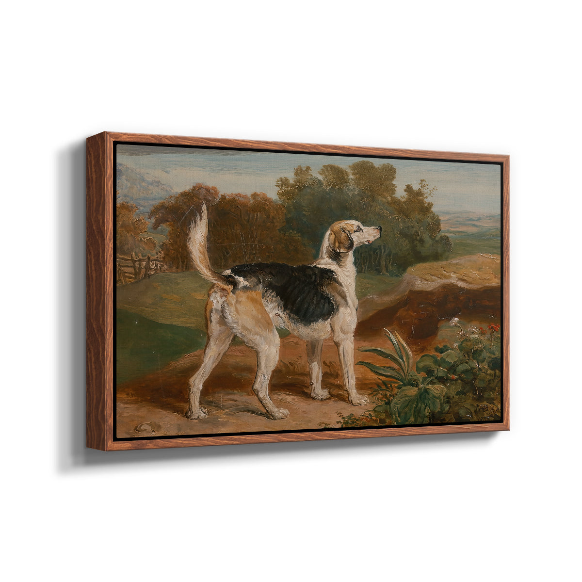 Ravager, One of the Lambton Hounds, 1835 - Floater Framed Canvas Print