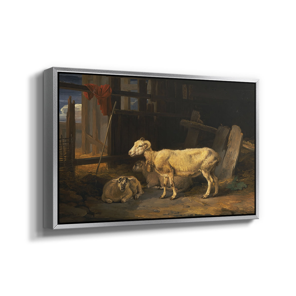 Sheep in a Stable, 1810 - Floater Framed Canvas Print