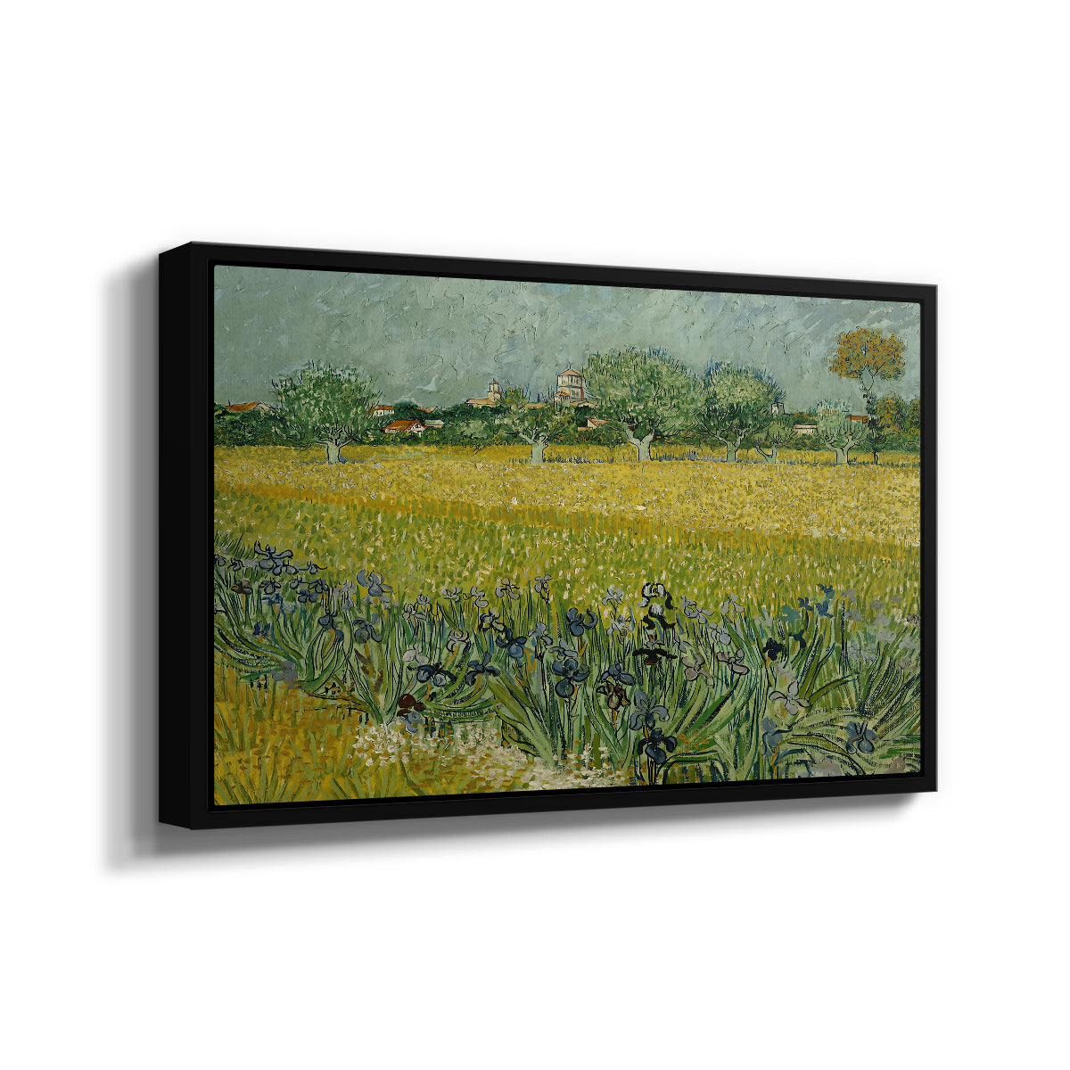 Field with Irises near Arles, 1888 - Floater Framed Canvas Print