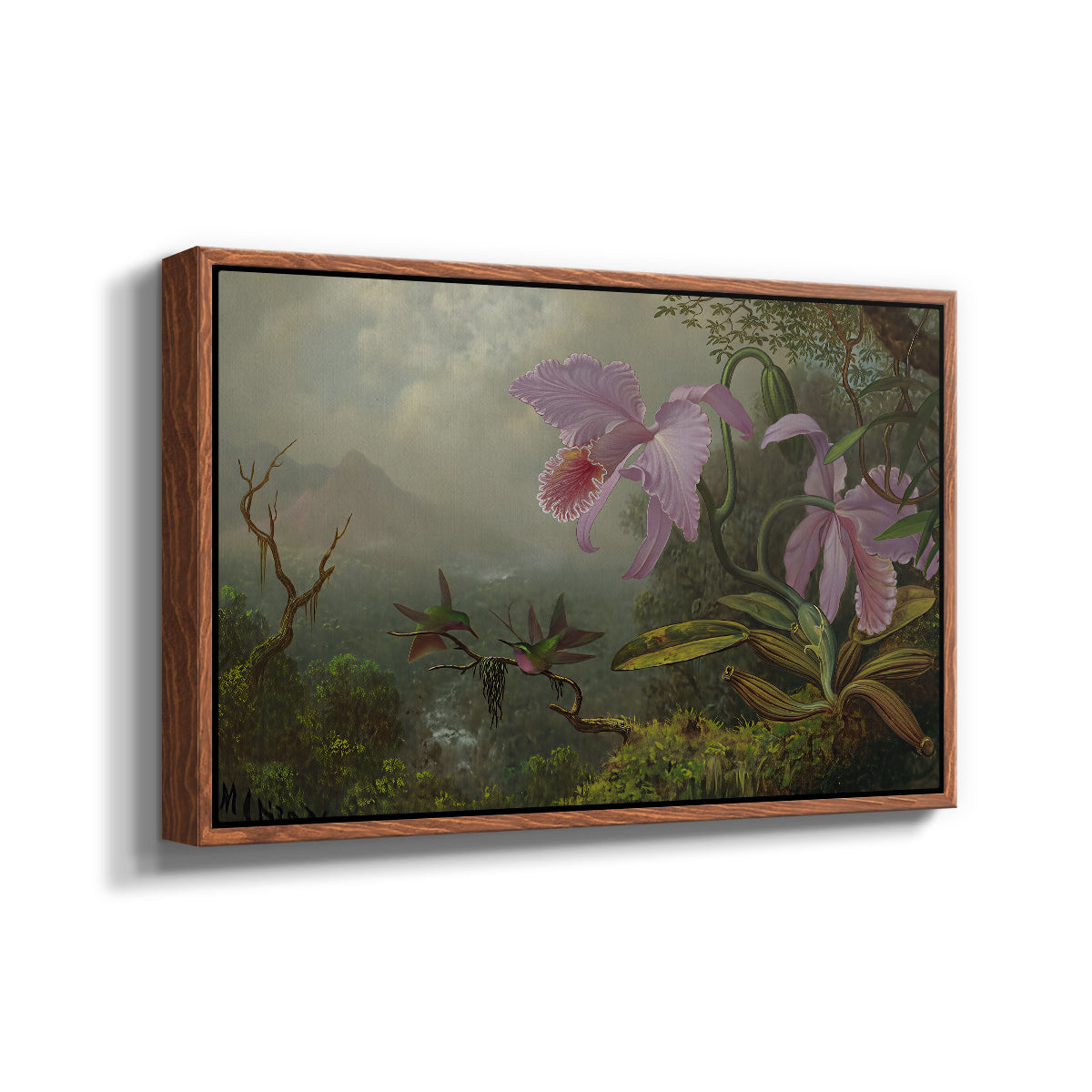 Two Sun Angel Hummingbirds on a Branch, c. 1890-1904 - Floater Framed Canvas Print