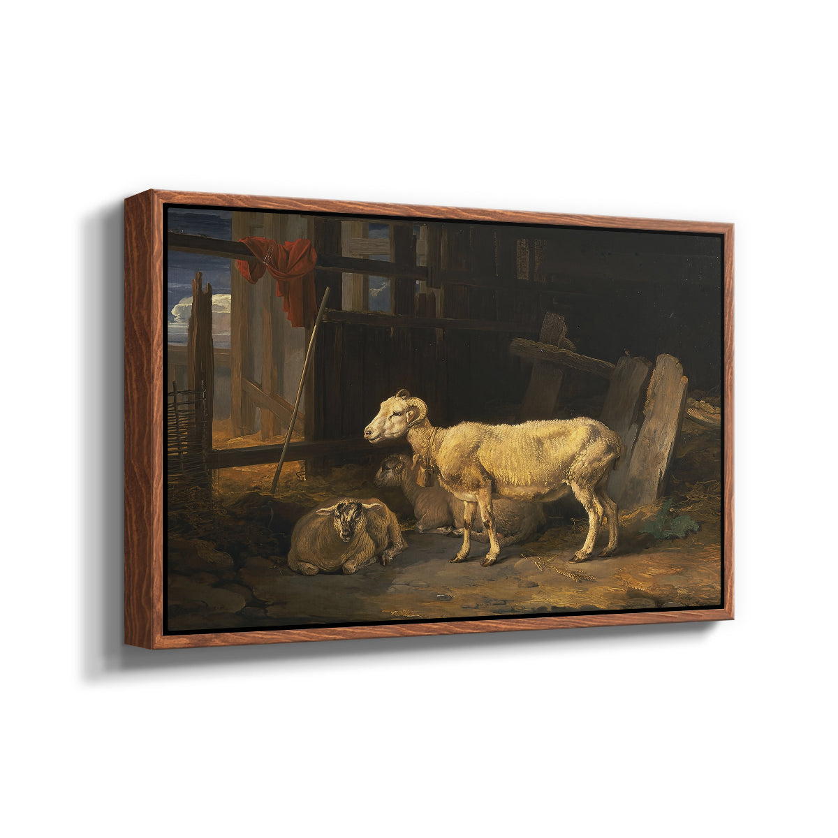 Sheep in a Stable, 1810 - Floater Framed Canvas Print
