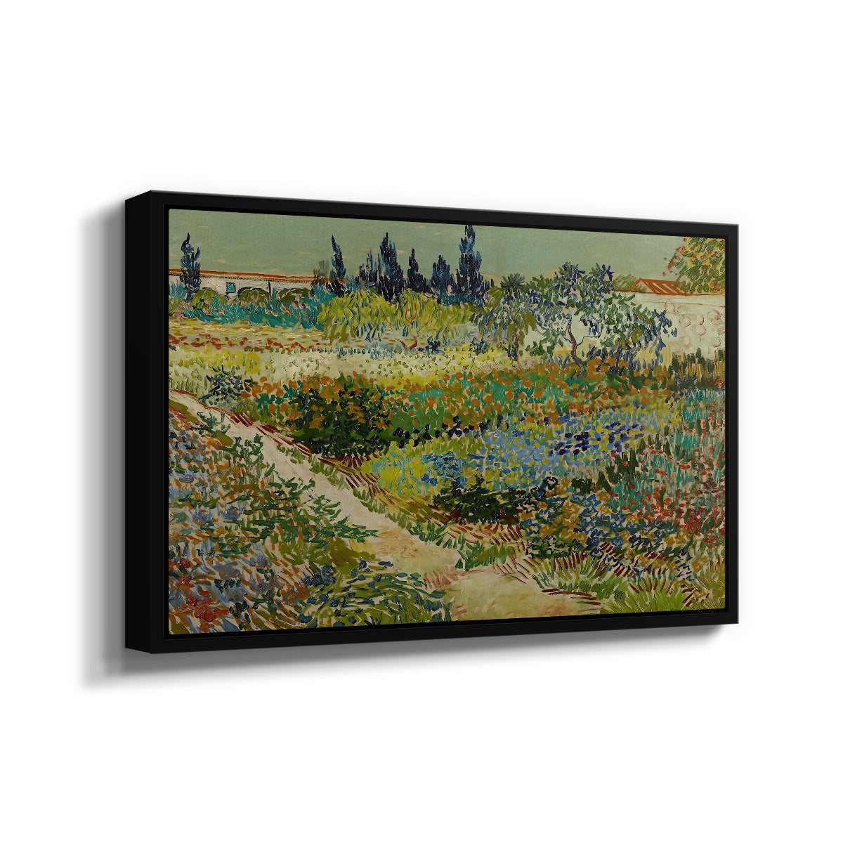 Garden at Arles, 1888 - Floater Framed Canvas Print
