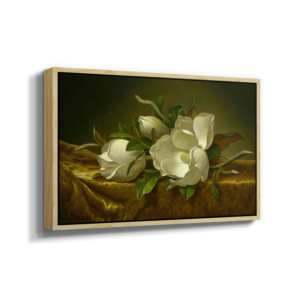 Magnolias on Gold Velvet Cloth, c. 1888-1890 - Floater Framed Canvas Print