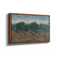 Olive Trees, 1889 - Floater Framed Canvas Print