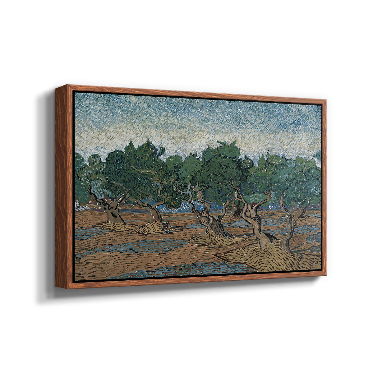 Olive Trees, 1889 - Floater Framed Canvas Print