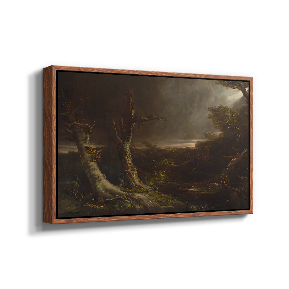 Tornado in an American Forest, 1835 - Floater Framed Canvas Print