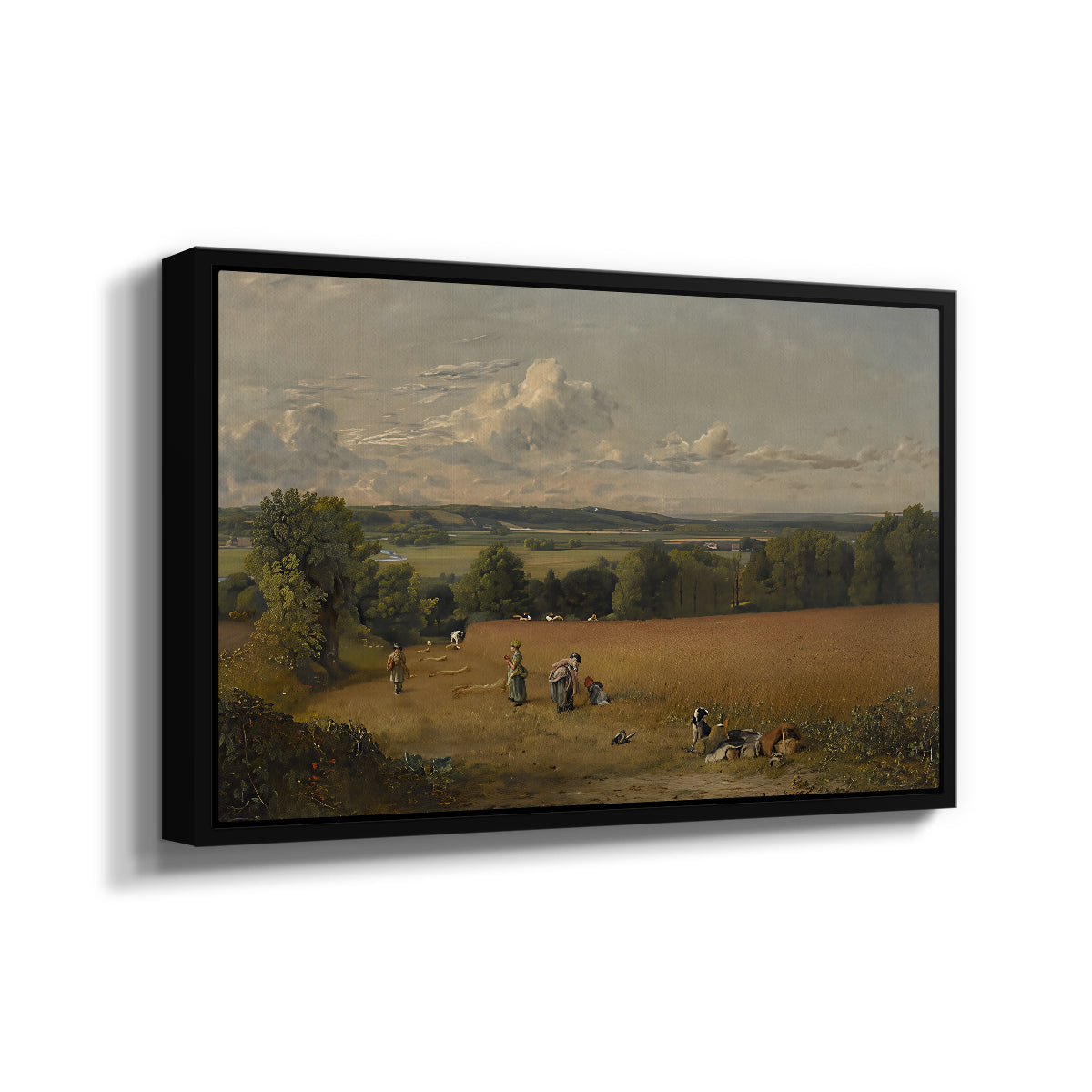 The Wheat Field, 1816 - Floater Framed Canvas Print