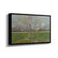 Orchard in Blossom (Plum Trees), 1888 - Floater Framed Canvas Print