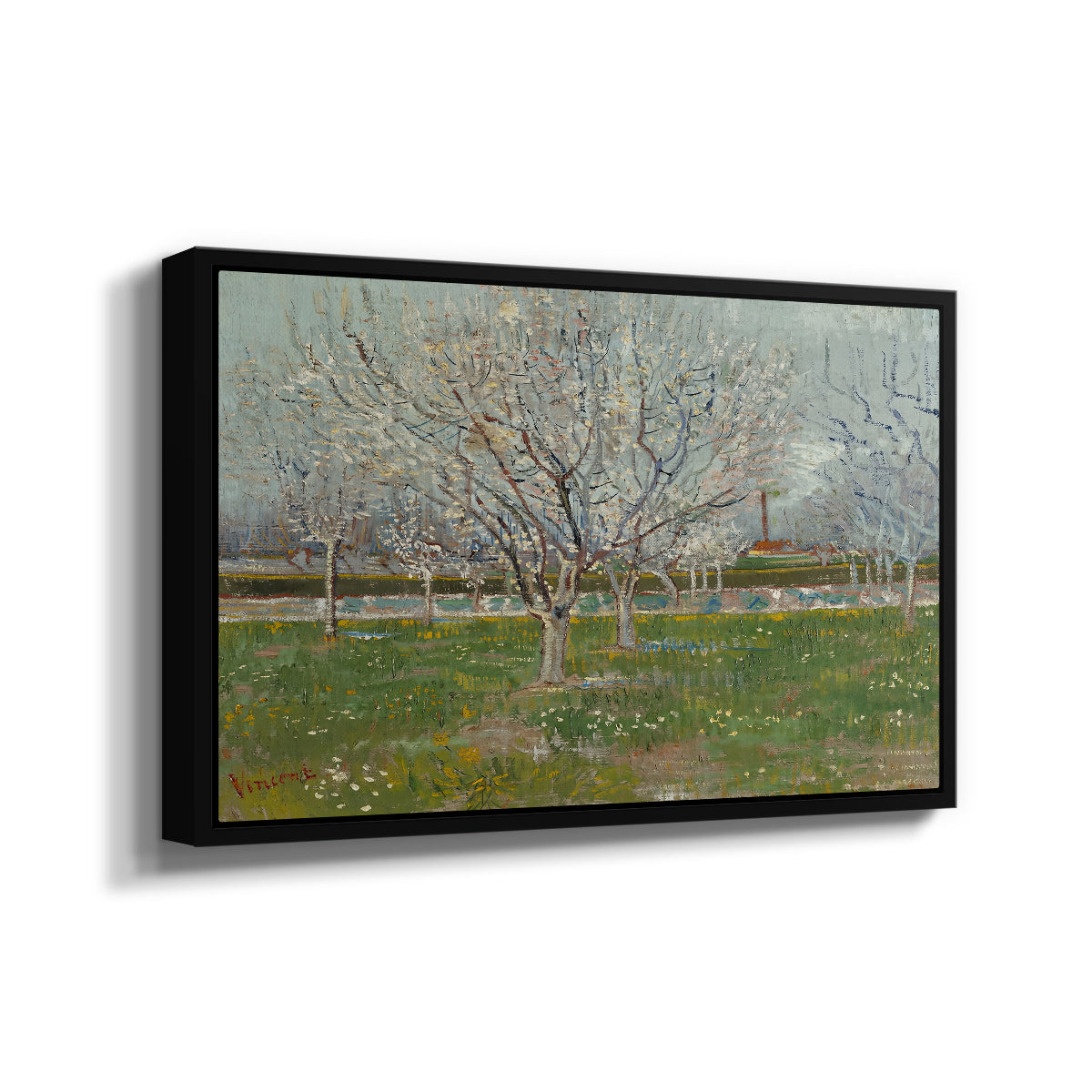 Orchard in Blossom (Plum Trees), 1888 - Floater Framed Canvas Print