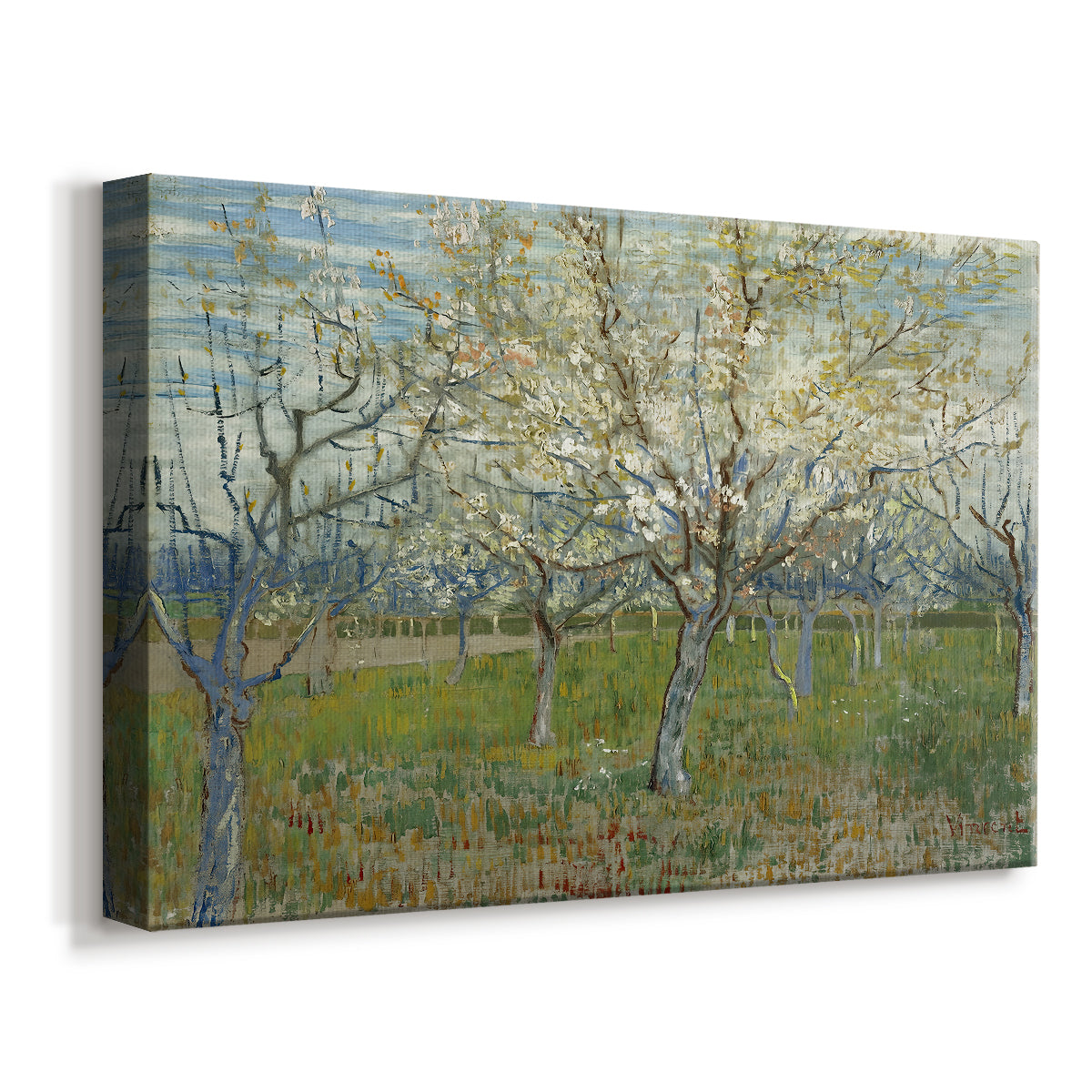 Canvas art print featuring an orchard in bloom with pink blossoms across soft landscape, displayed at an angle