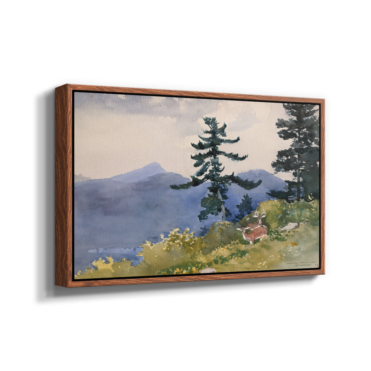 North Woods Club, Adirondacks, 1892 - Floater Framed Canvas Print