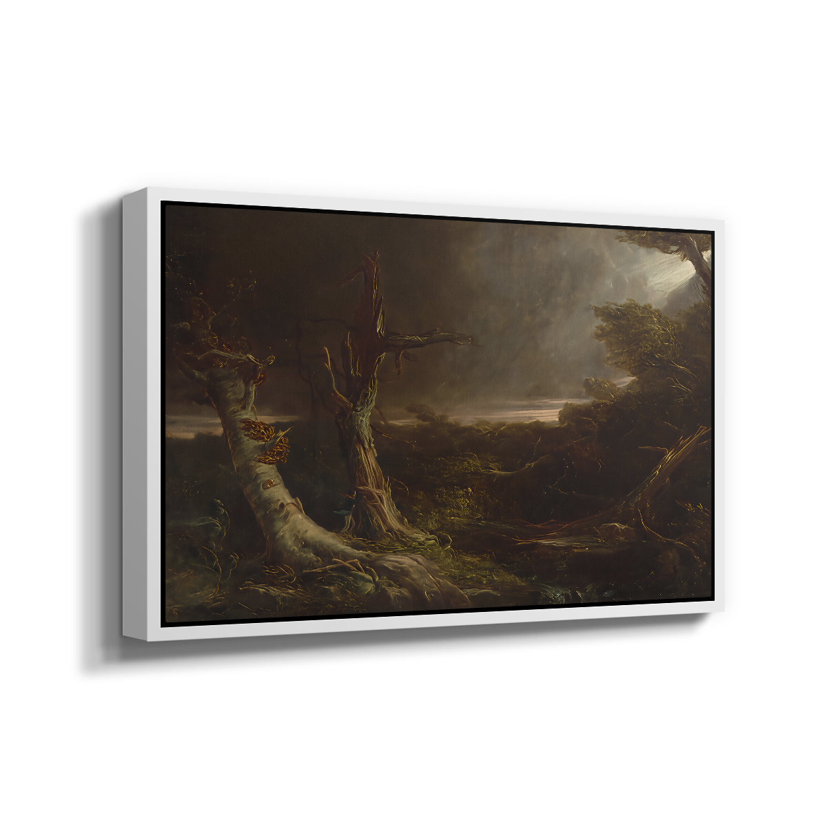 Tornado in an American Forest, 1835 - Floater Framed Canvas Print