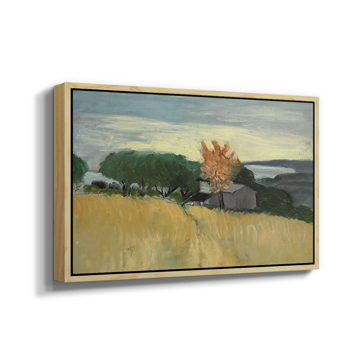 Fields of Wheat in Cagnes, 1918 - Floater Framed Canvas Print