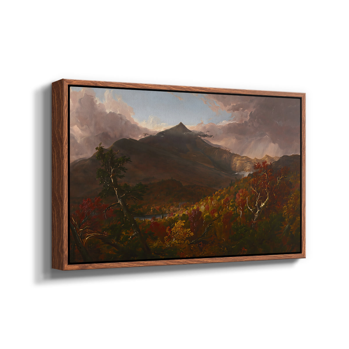 View of Schroon Mountain, Essex County, New York, After a Storm, 1838 - Floater Framed Canvas Print