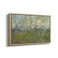The Pink Orchard, 1888 - Floater Framed Canvas Print