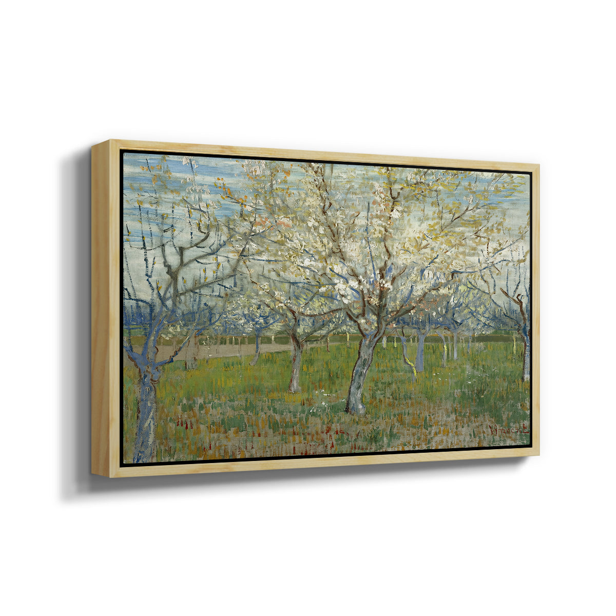 The Pink Orchard, 1888 - Floater Framed Canvas Print
