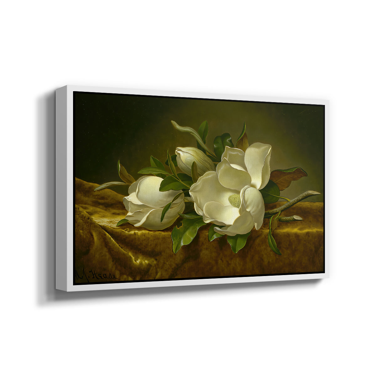 Magnolias on Gold Velvet Cloth, c. 1888-1890 - Floater Framed Canvas Print