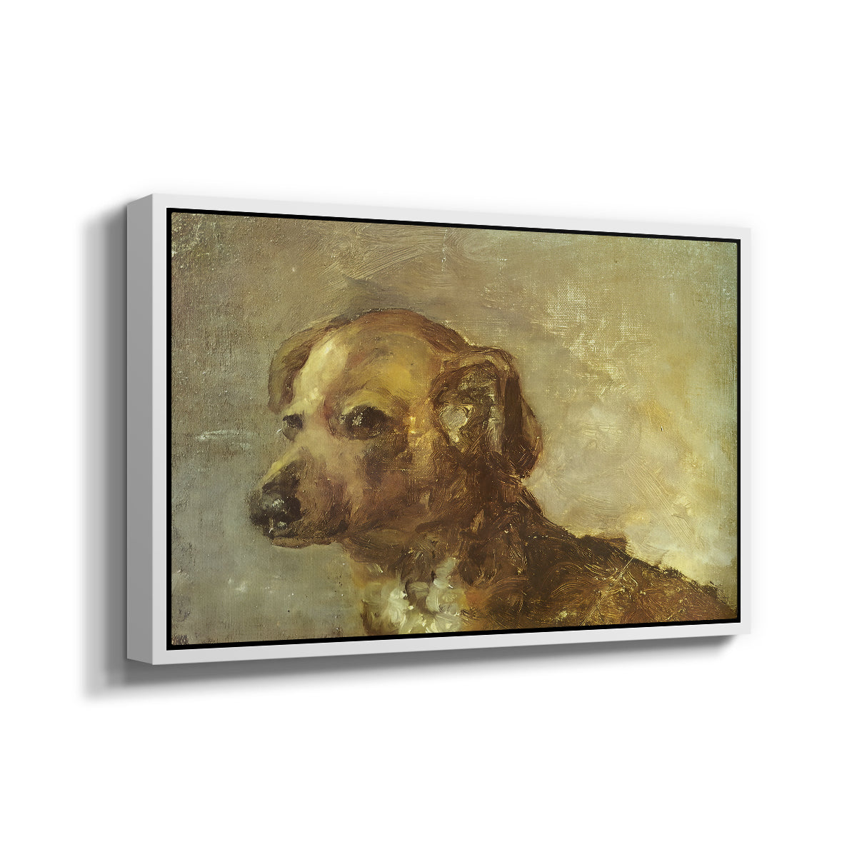 Cliper, the Artist's Dog, 1895 - Floater Framed Canvas Print