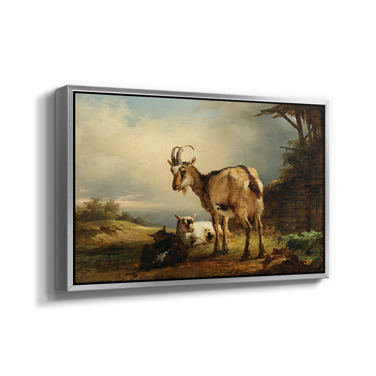 A Goat with Two Kids - Floater Framed Canvas Print