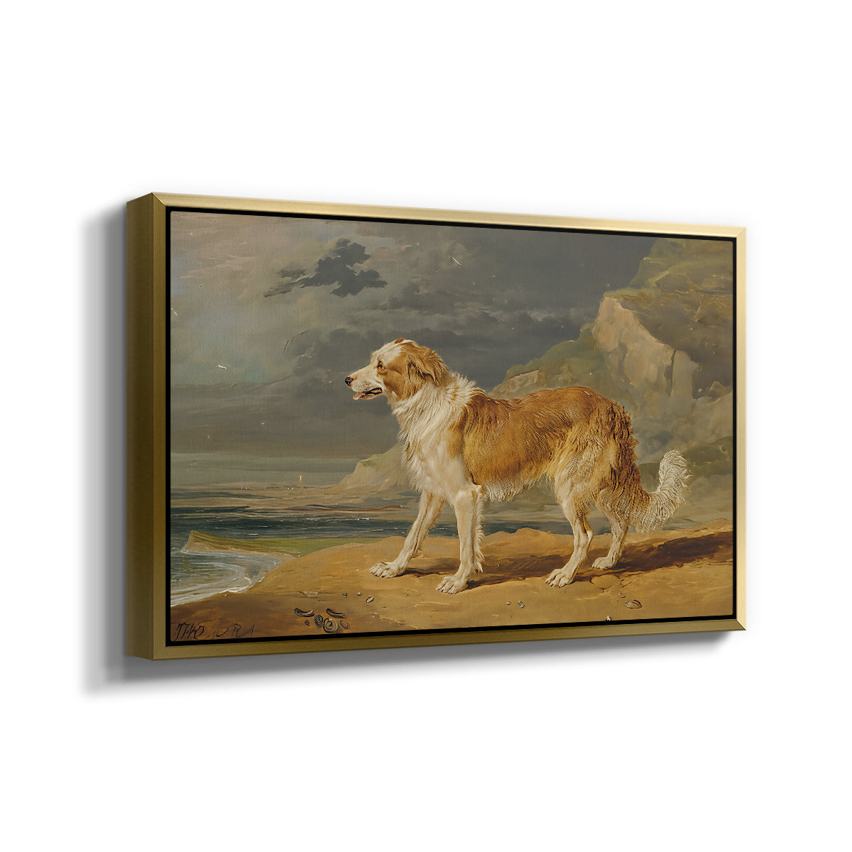 Rough-Coated Collie, 1809 - Floater Framed Canvas Print