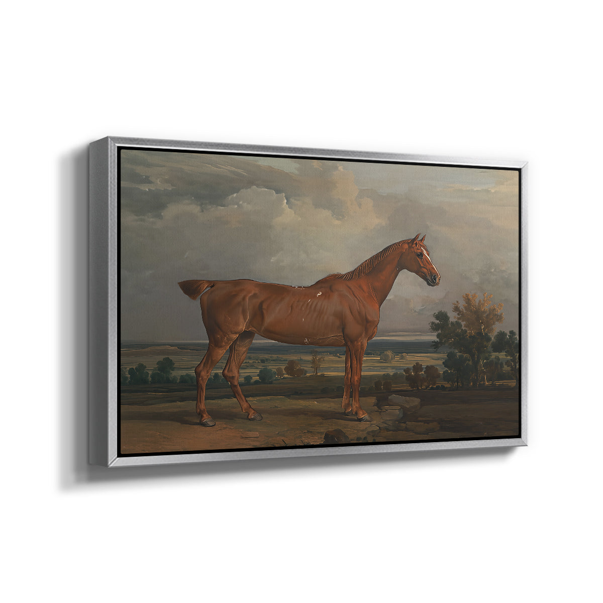 Hunter in a Landscape, 1810 - Floater Framed Canvas Print