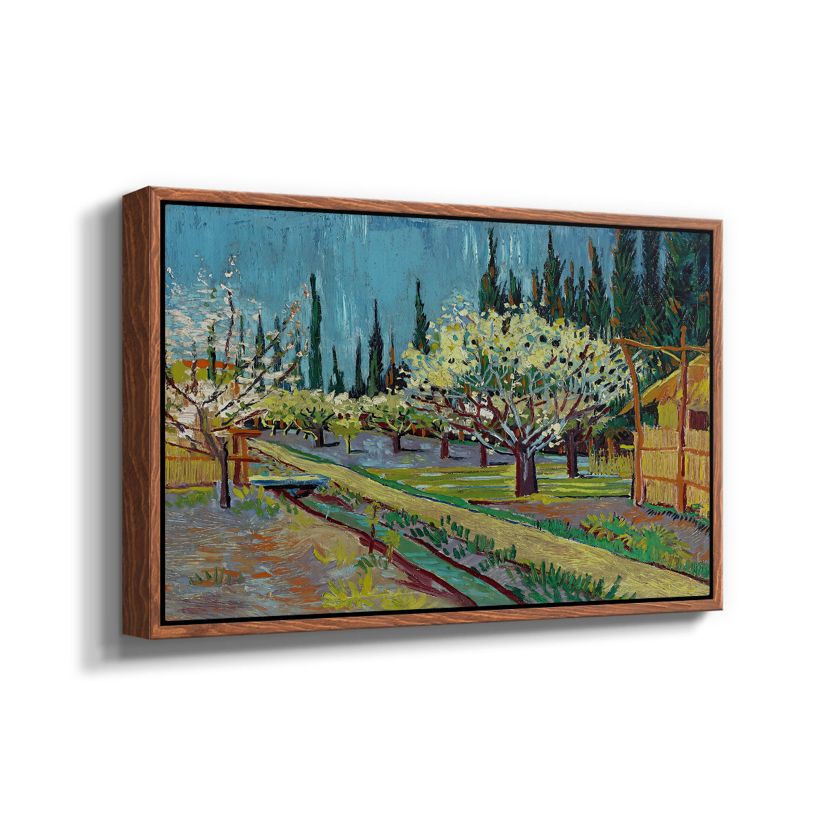 Orchard in Blossom, Bordered by Cypresses, 1888 - Floater Framed Canvas Print