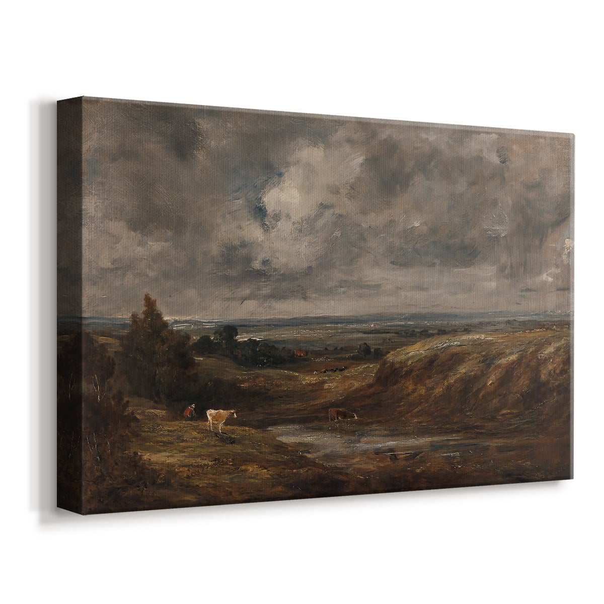 Canvas art print featuring a natural scene with wide terrain, displayed at an angle