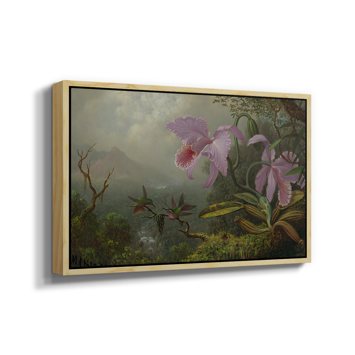 Two Sun Angel Hummingbirds on a Branch, c. 1890-1904 - Floater Framed Canvas Print