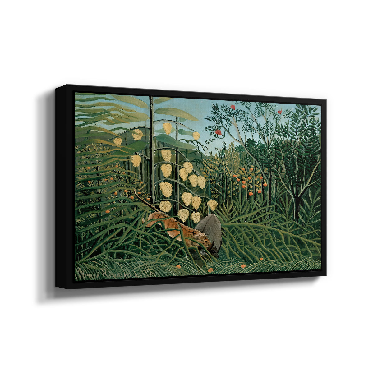 Fight Between a Tiger and a Buffalo, 1908 - Floater Framed Canvas Print