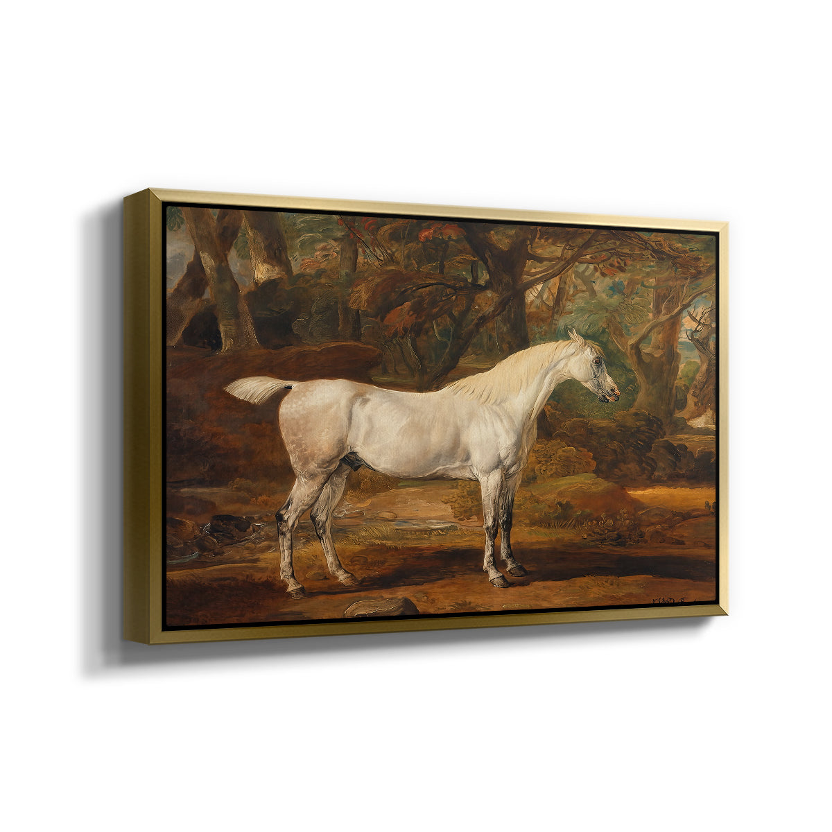 Grey Arabian Stallion, Property of Sir Watkin Williams-Wynn, c. 1817 - Floater Framed Canvas Print