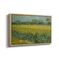 Field with Irises near Arles, 1888 - Floater Framed Canvas Print