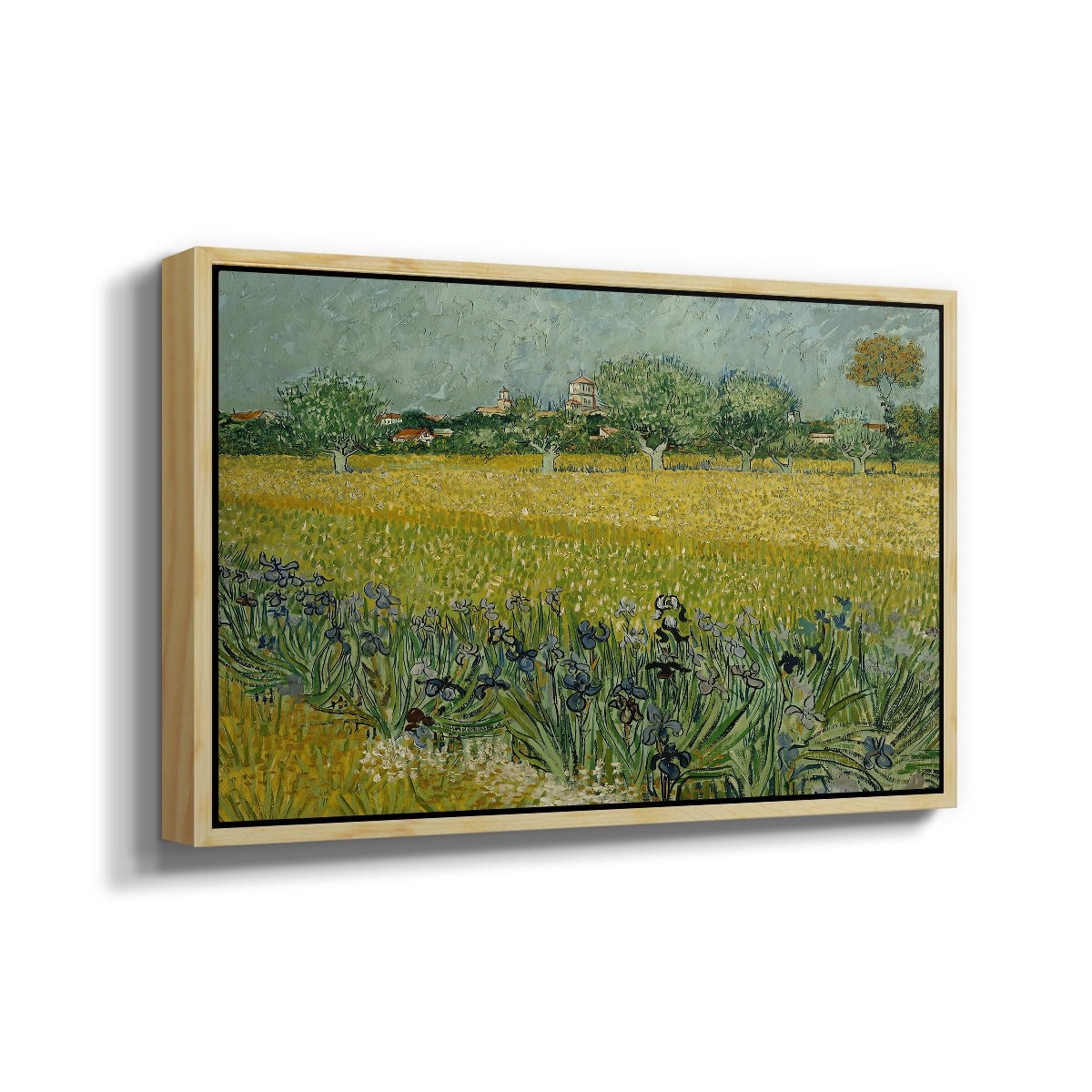 Field with Irises near Arles, 1888 - Floater Framed Canvas Print