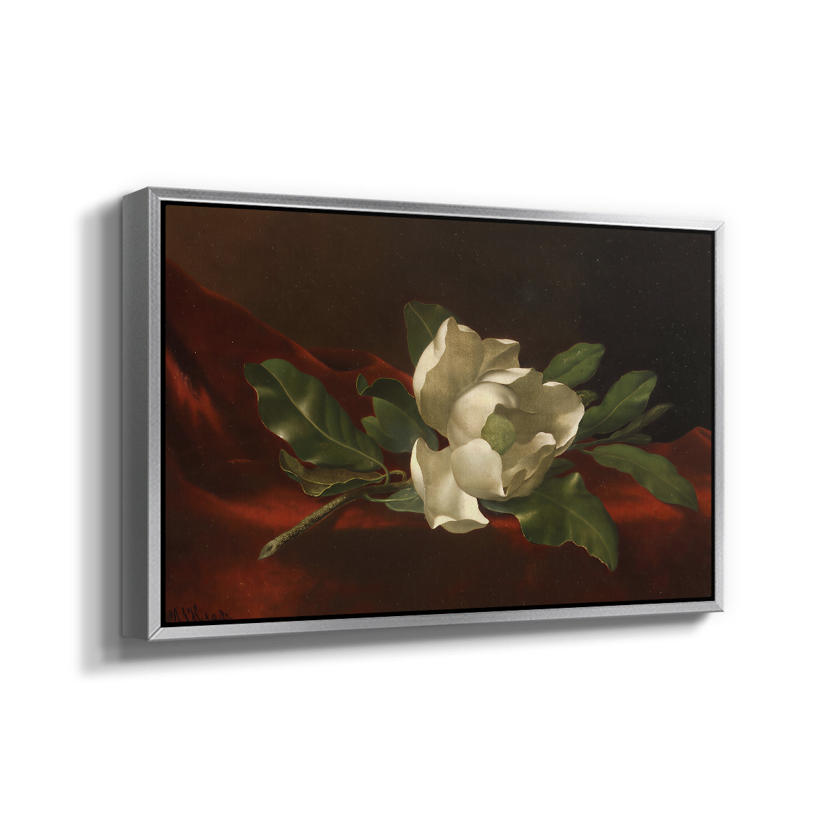 Magnolia on Red Velvet, c. 1885-1890 - Floater Framed Canvas Print