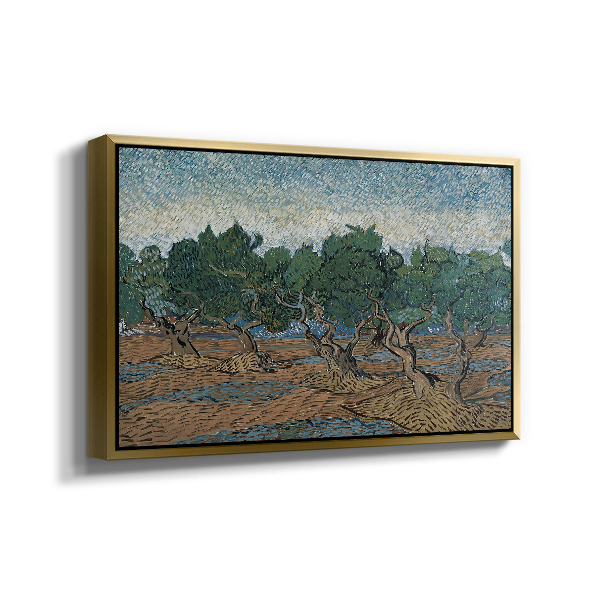 Olive Trees, 1889 - Floater Framed Canvas Print