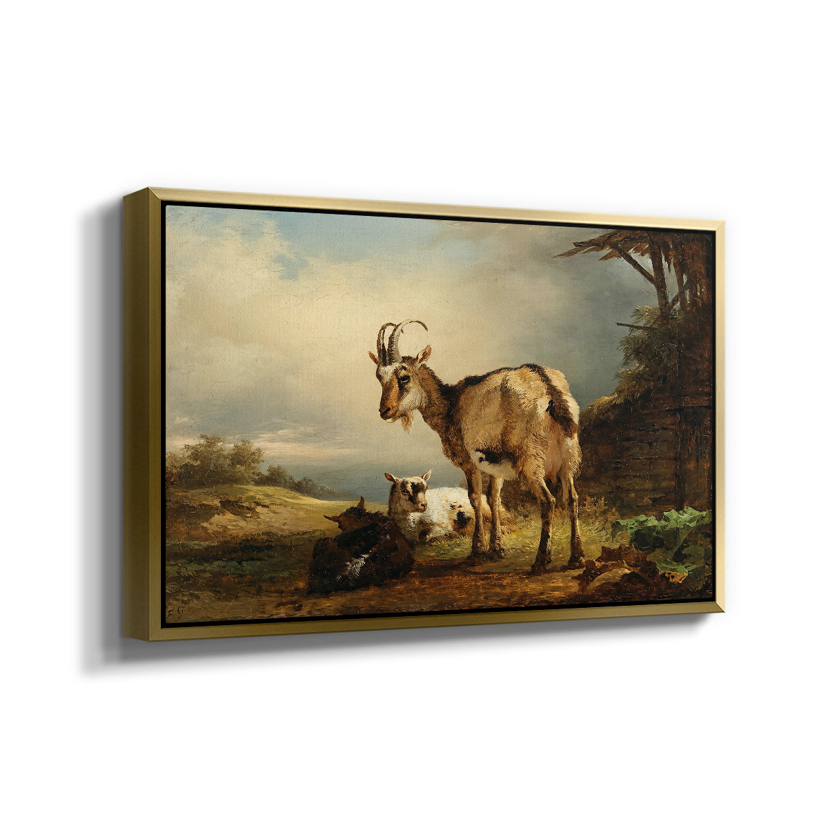 A Goat with Two Kids - Floater Framed Canvas Print