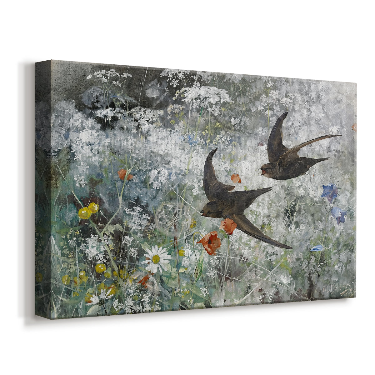 Canvas art print featuring swifts gliding midair with wings spread against soft sky, displayed at an angle