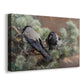 Canvas art print featuring birds standing alert in natural field environment, displayed at an angle